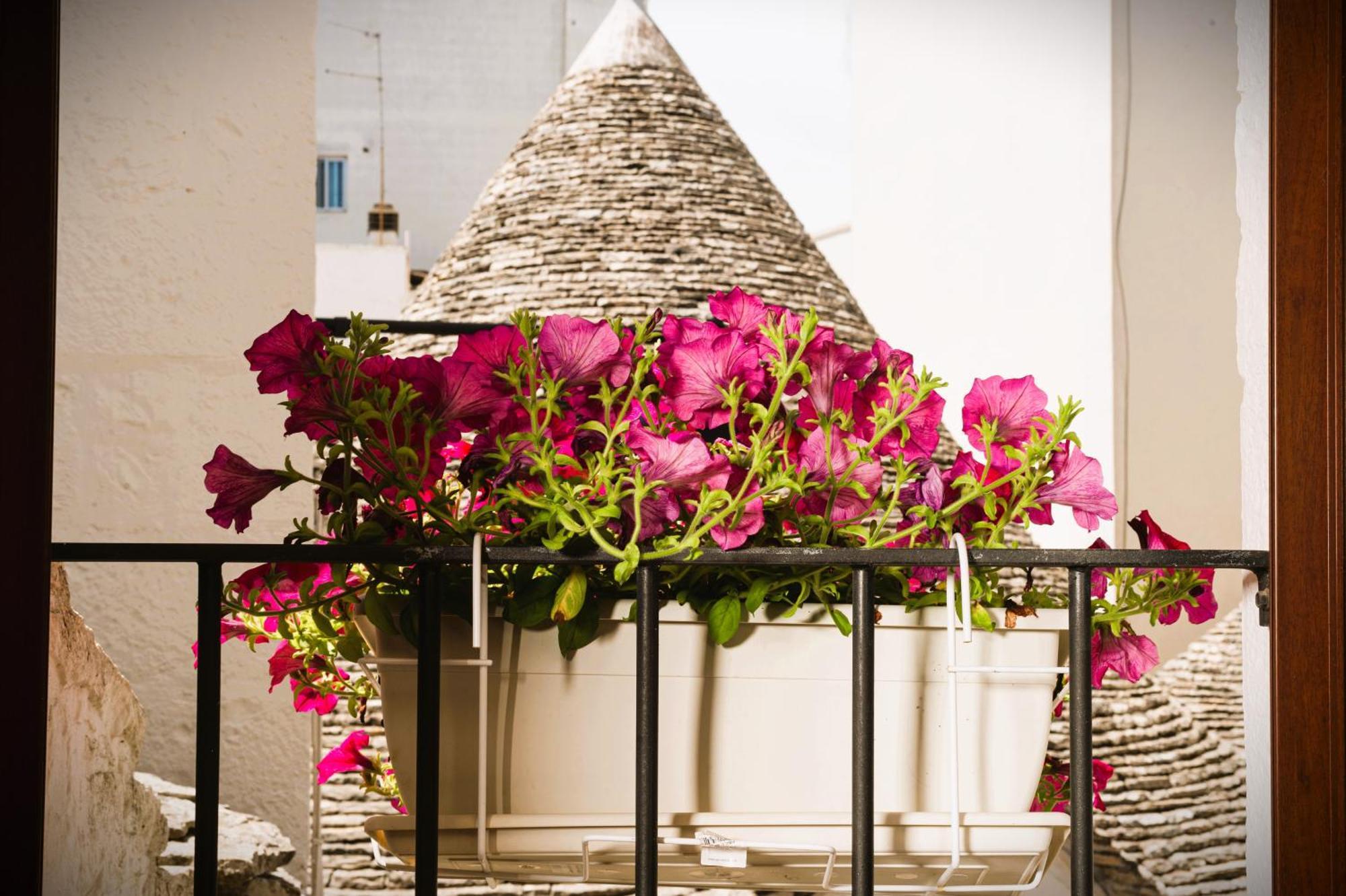 Il Trullo Moore Alberobello Exterior photo